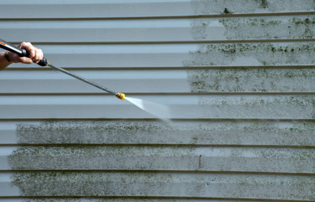 Best Affordable Pressure Washing  in Mitchell, IN